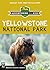 Yellowstone National Park: Adventuring with Kids