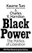 Black Power by Kwame Ture