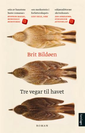 Tre vegar til havet (Paperback)