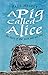 A Pig Called Alice: The Sto...