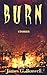 Burn: Horror Stories