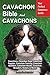 Cavachon Bible And Cavachon...