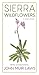 Sierra Wildflowers: A Hiker...