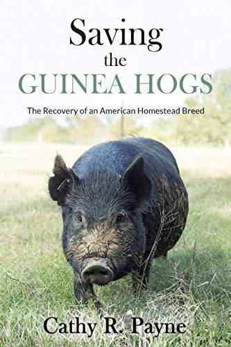 Saving the Guinea Hogs: The Recovery of an American Homestead Breed (Paperback)