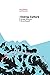 Energy Culture: Art and Theory on Oil and Beyond (Energy and Society)