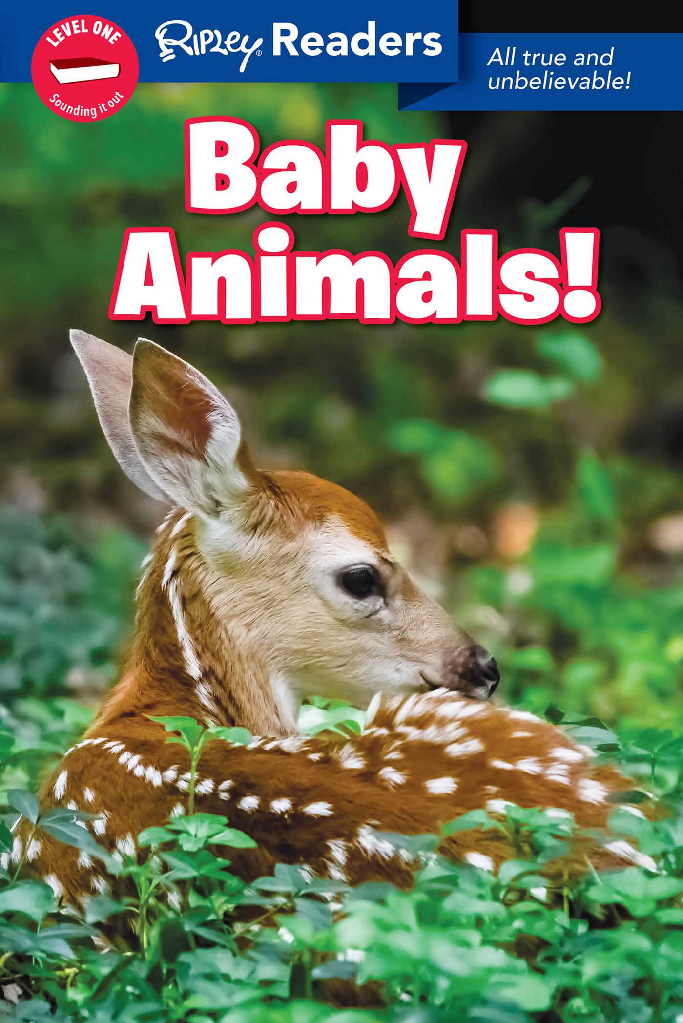 Ripley Readers LEVEL1 Baby Animals (Paperback)