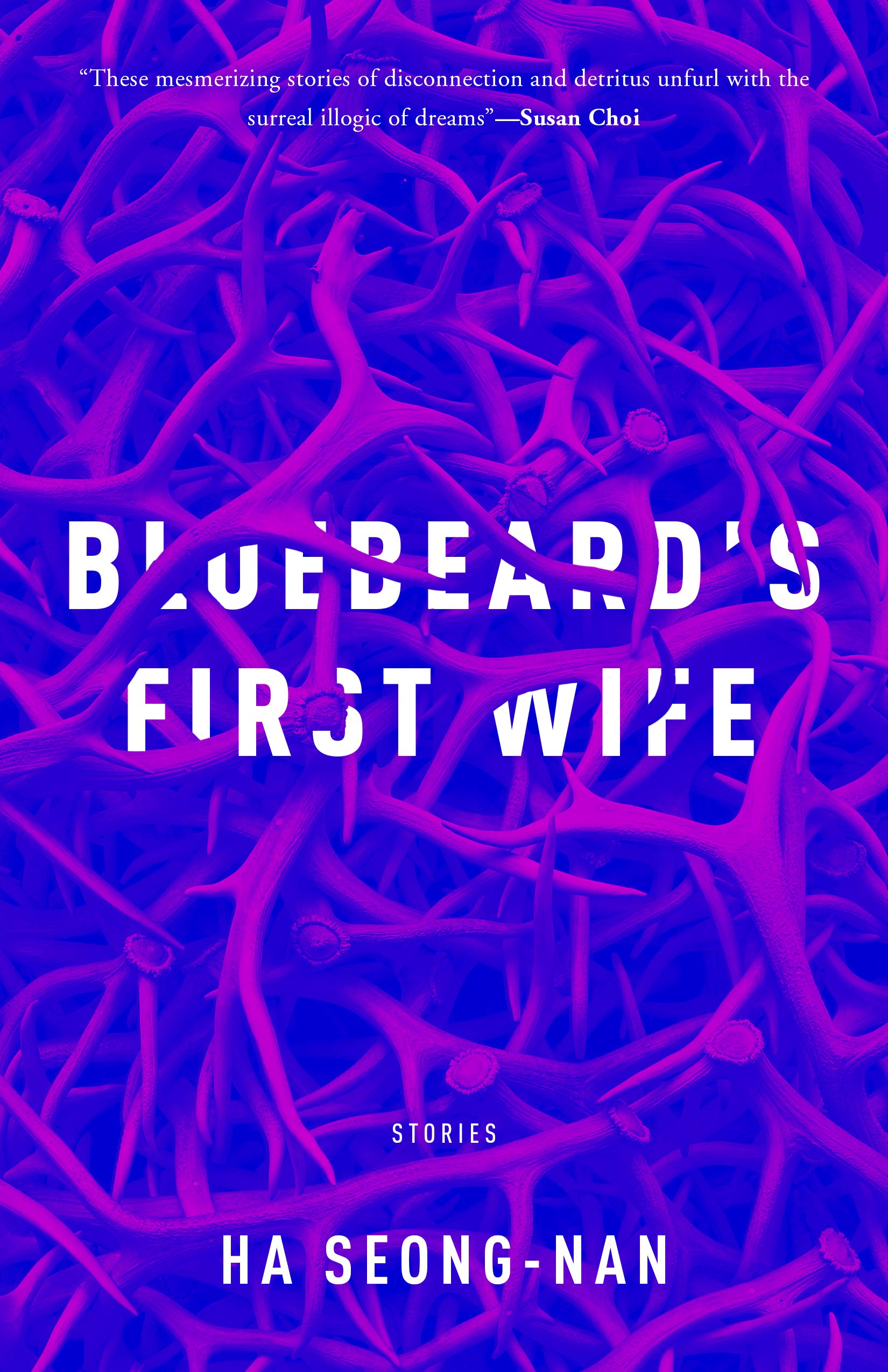 Bluebeard's First Wife (Paperback)