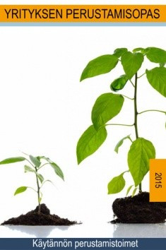 Yrityksen perustamisopas : käytännön perustamistoimet (Paperback)