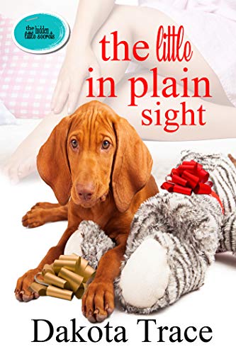 The Little in Plain Sight (The Hidden Little Secrets #2)