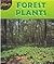 Forest Plants