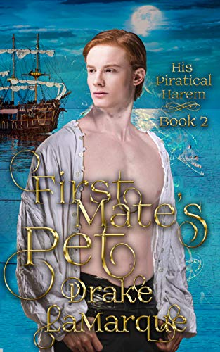 First Mate's Pet (His Piratical Harem #2)