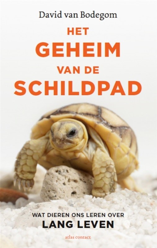 Het Geheim van de Schildpad (Kindle Edition)
