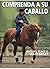 Comprender a su caballo