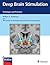 Deep Brain Stimulation: Techniques and Practices