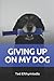Giving Up On My Dog: A straightforward directive for those close to giving up on their dog