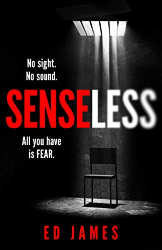 Senseless (Kindle Edition)