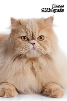 Persan Agenda Chaton Ou Chat 139 Pages 12 Mois Format A5 Agenda Journalier Planificateur Semainier Simple Calendrier Organizer By Not A Book