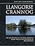 Llangorse Crannog by Alan Lane