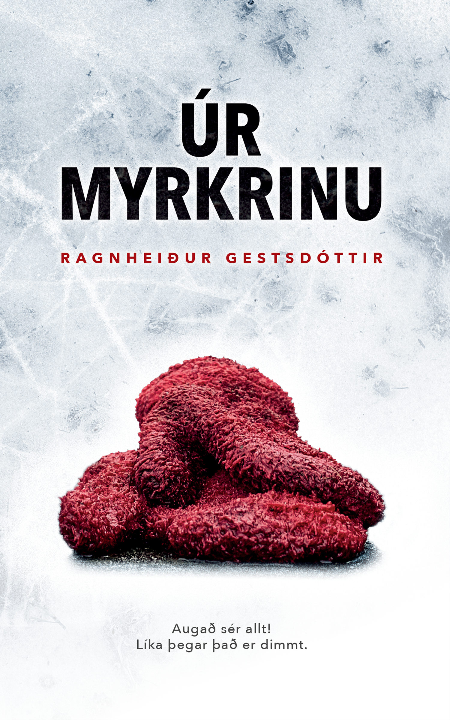Úr myrkrinu (Hardcover)