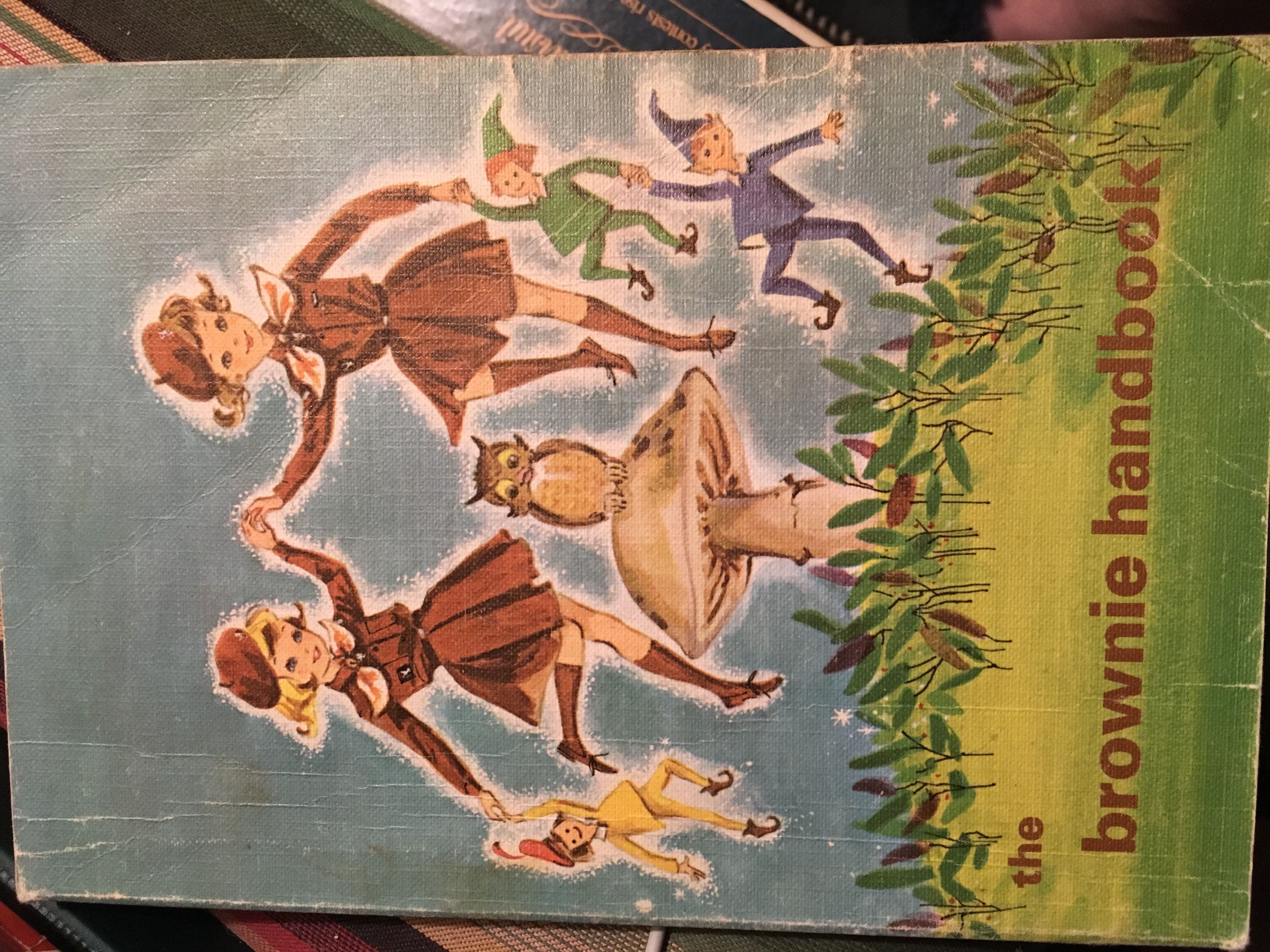 The Brownie Handbook Canada (Paperback)