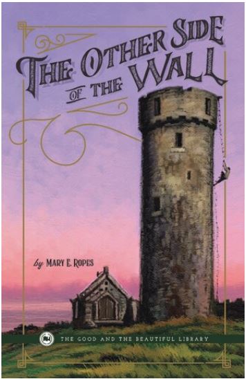The Other Side of the Wall (Paperback)