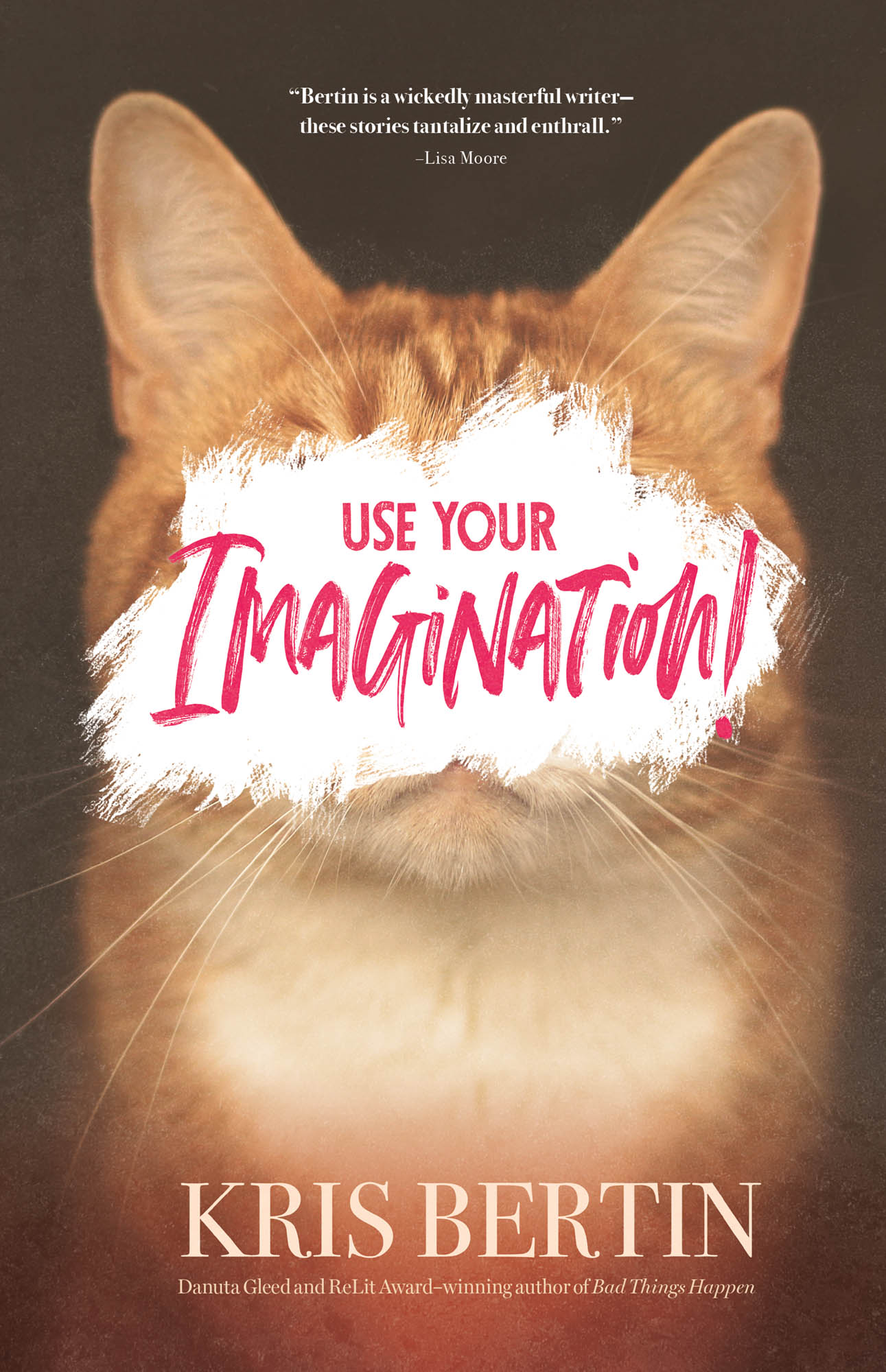 Use Your Imagination! (Paperback)