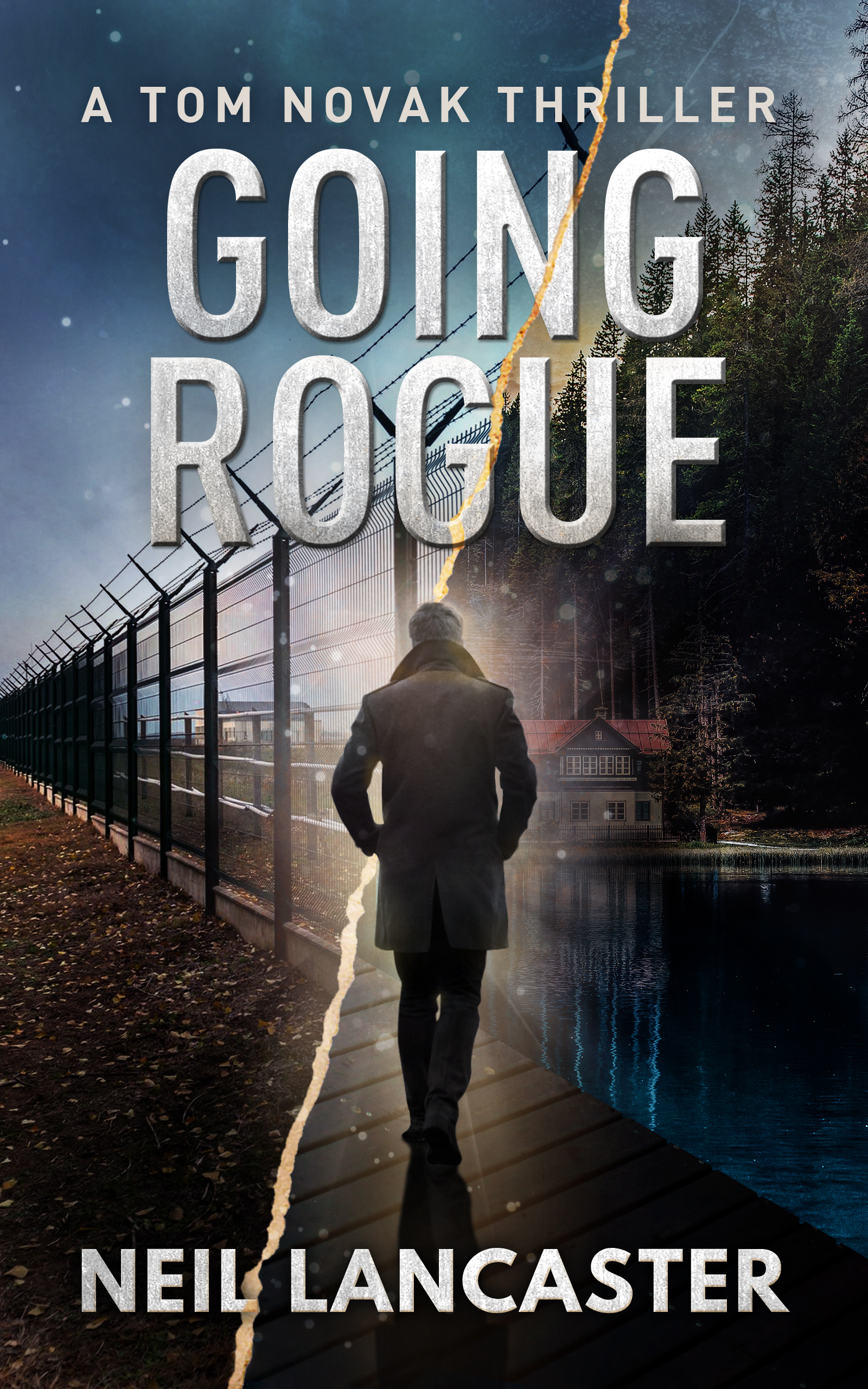 Going Rogue (Tom Novak #2)