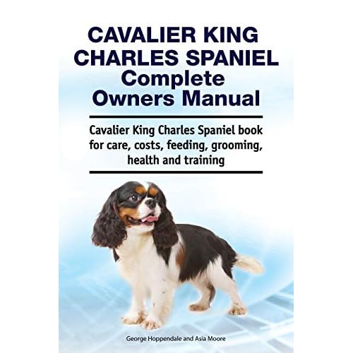 king charles spaniel care