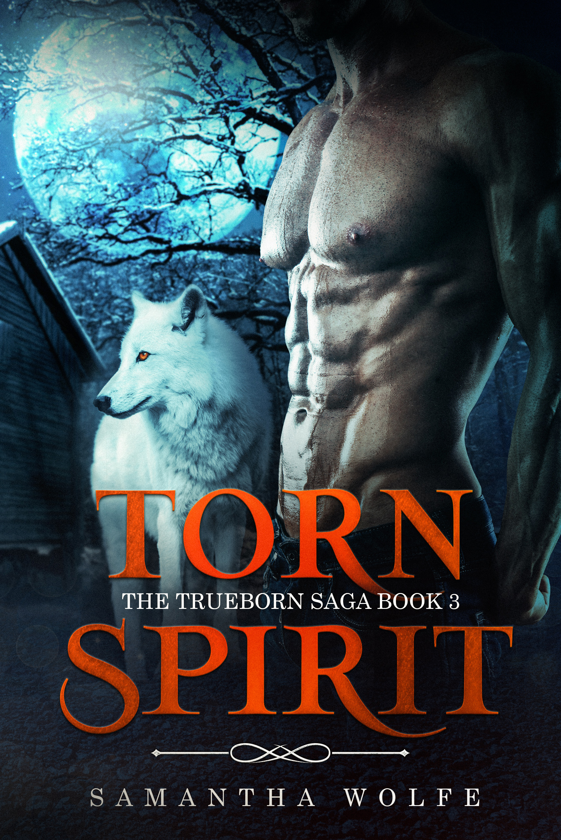 Torn Spirit (The Trueborn Saga, #3)
