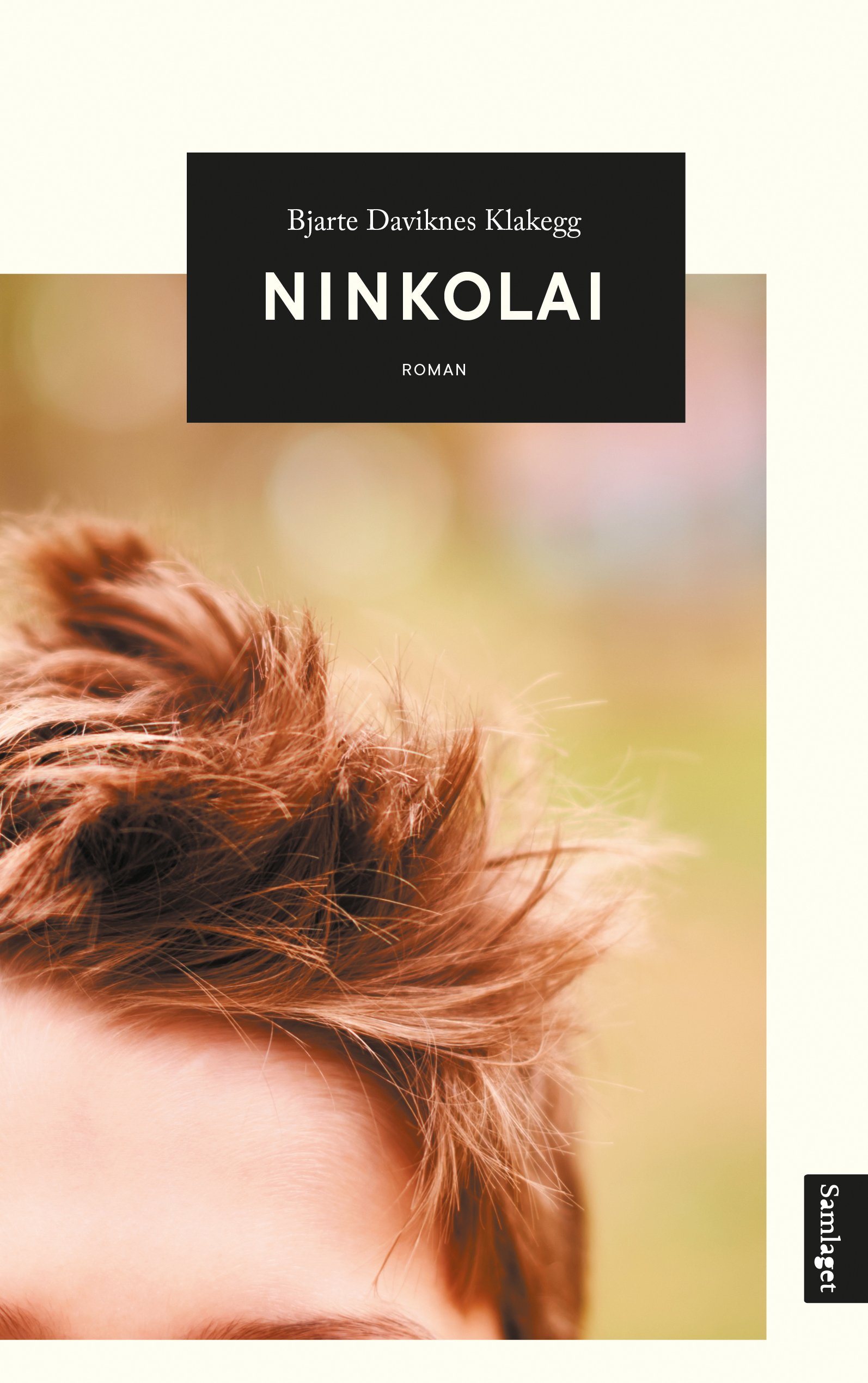 Ninkolai (Hardcover)