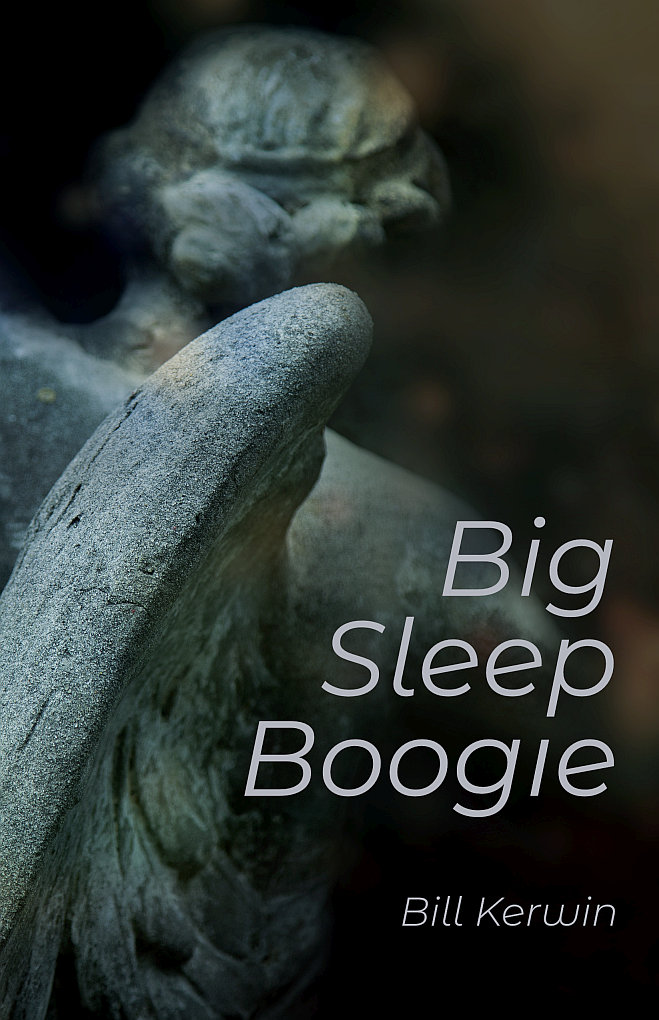 Big Sleep Boogie (Paperback)