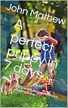 A perfect puppy i...