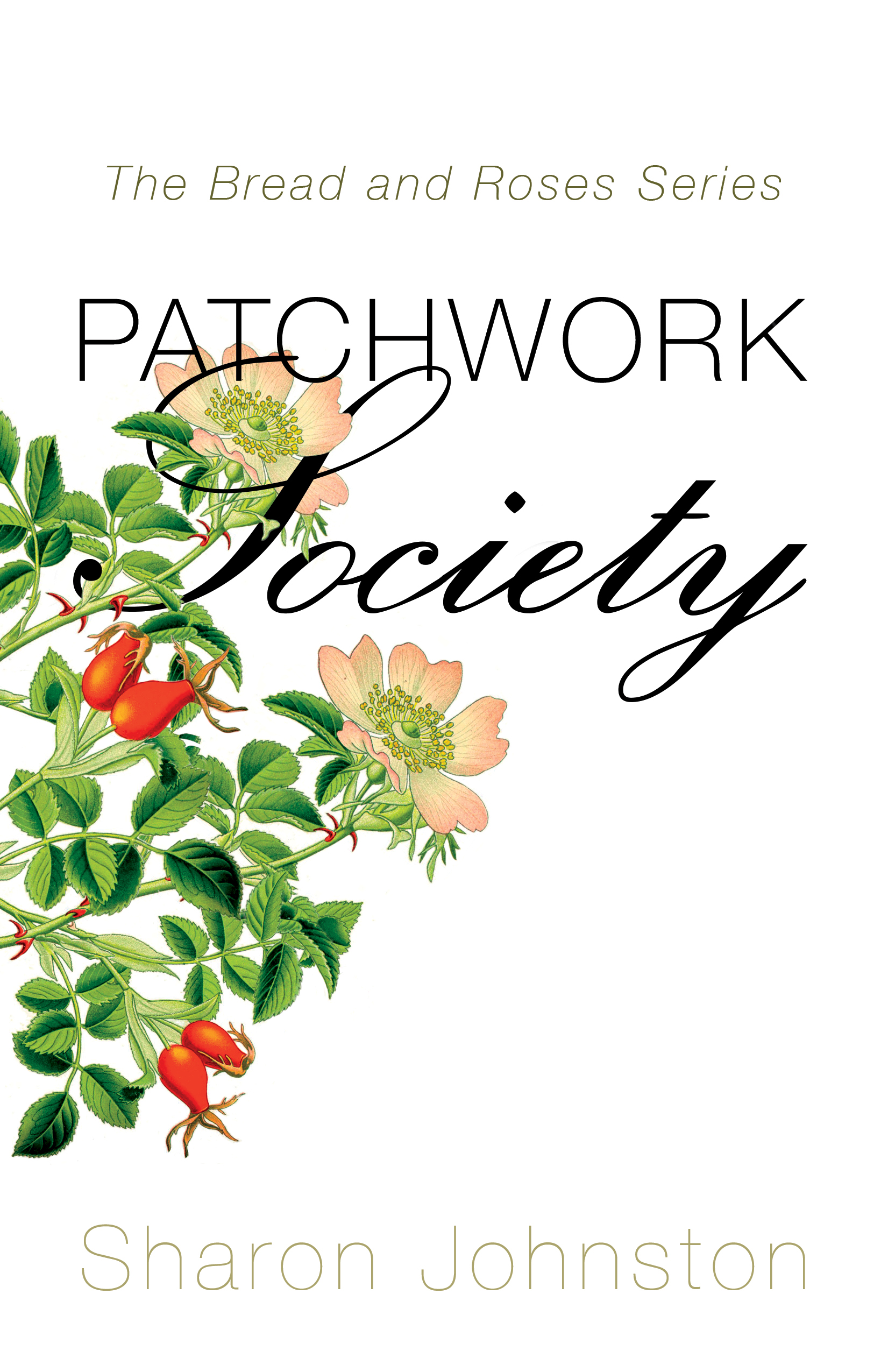 Patchwork Society (Paperback)