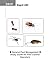 General Pest Management: St...