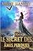 Le secret des âmes perdues ...
