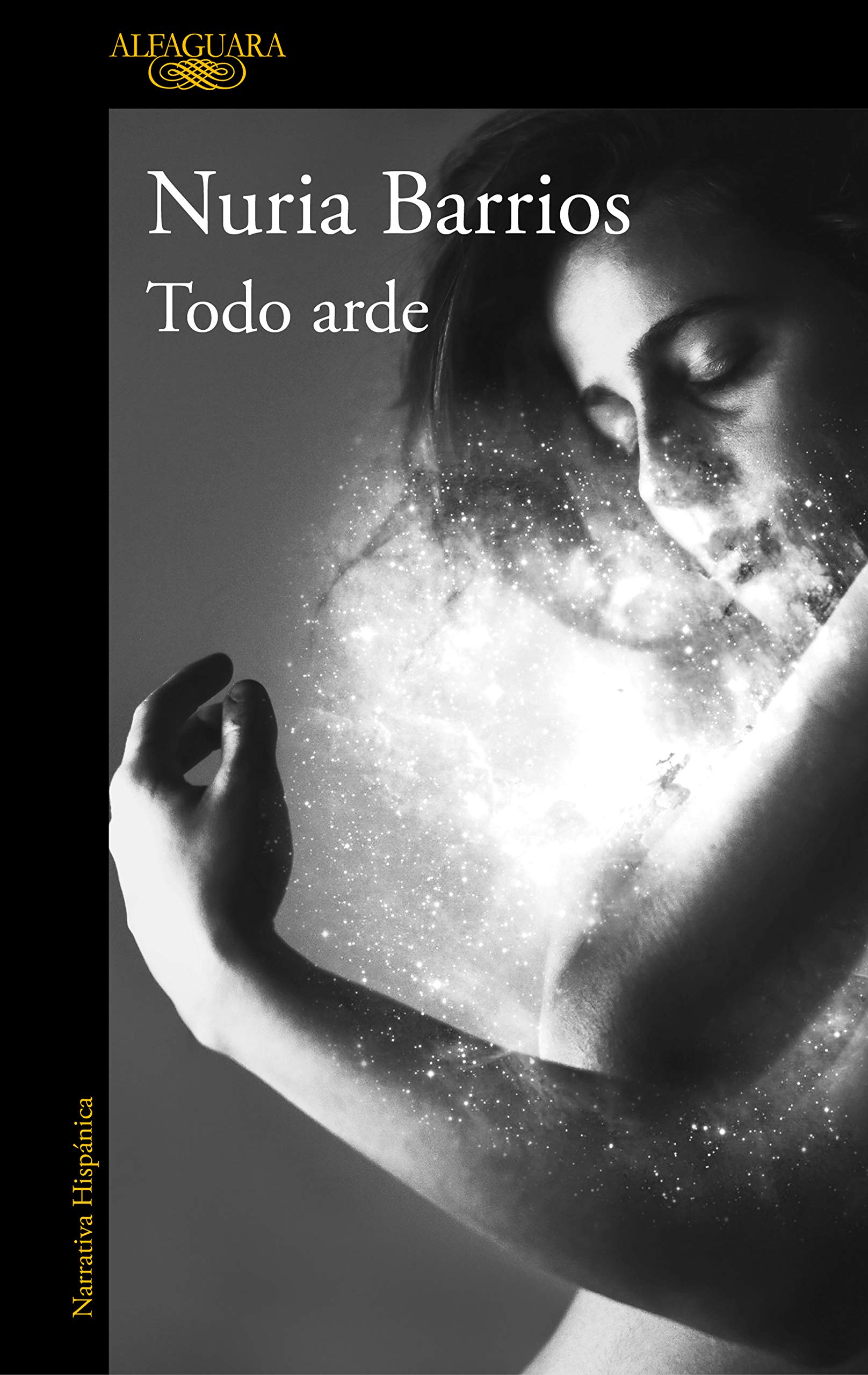 Todo arde (Paperback)