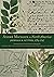 André Michaux in North America by André Michaux