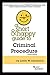 A Short & Happy Guide to Criminal Procedure (Short & Happy Guides)