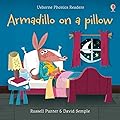 Armadillo on Pillow