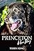 Princeton-A Love Story