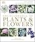 Encyclopedia of Plants and ...