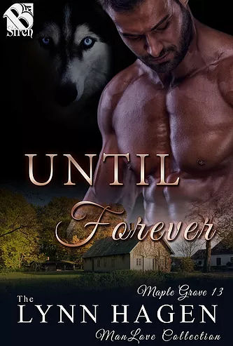 Until Forever (Maple Grove #13)