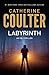 Labyrinth: An FBI Thriller