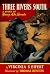 Three Rivers South - the St...