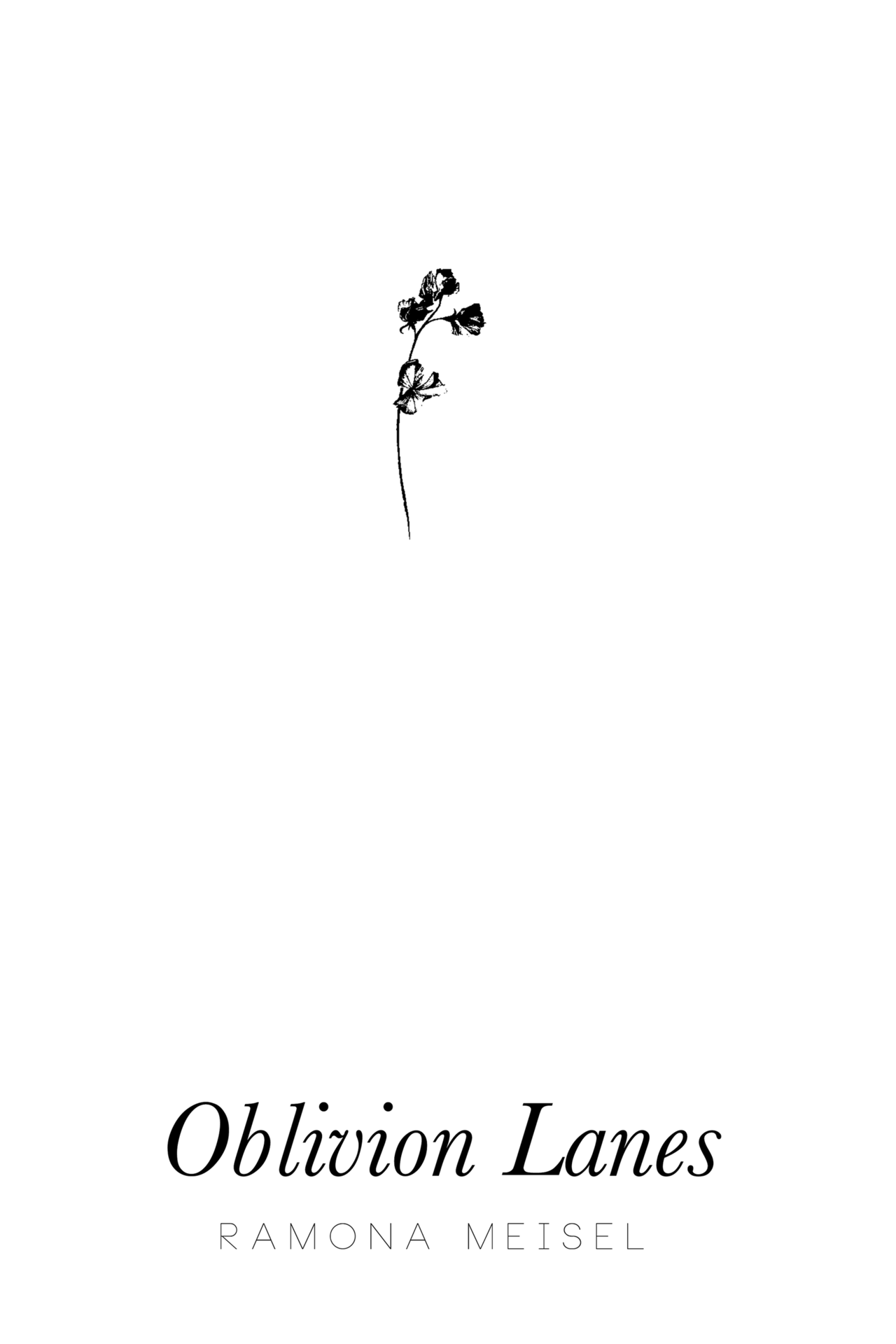 Oblivion Lanes (Kindle Edition)