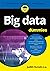 Big Data voor Dummies