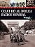 Istoria ilustrata a celui de-al Doilea Razboi Mondial by Flavio Floriani
