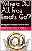 Where Did All Free Emails Go? by Brenda Nichols