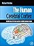 The Human Cerebral Cortex by Michael Petrides
