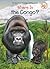 Where Is the Congo?